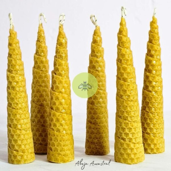 Set de 12 velas de cera de abeja en forma de cono - 6 cm de altura cada una